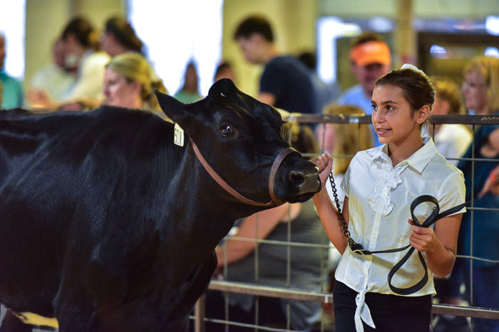Orangeburg County Fair Dairy Show